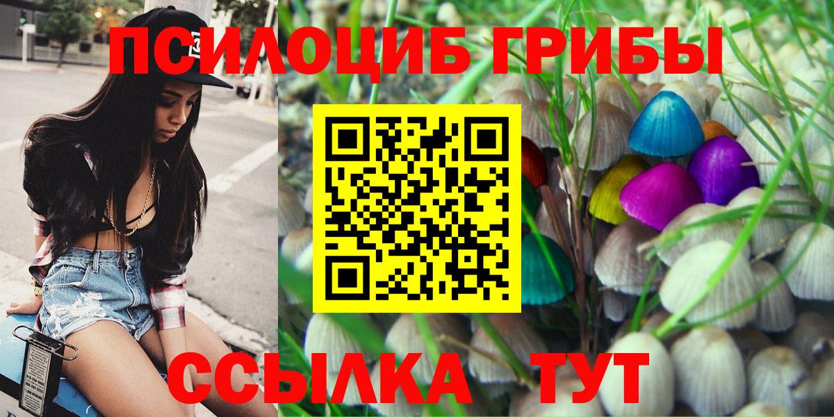 Псилоцибиновые грибы ЛСД  Галлюциногенные грибы GOLDEN TEACHER  Кизляр  Вход с VPN 